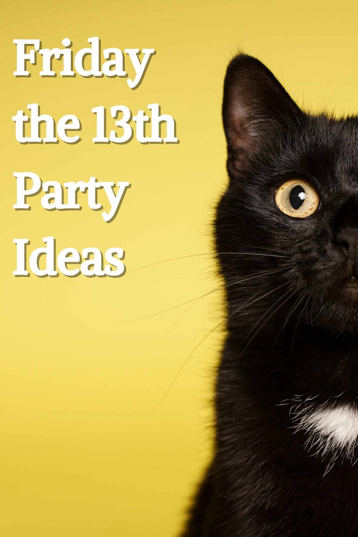 43 Friday the 13th Party Ideas - Fun Party Pop