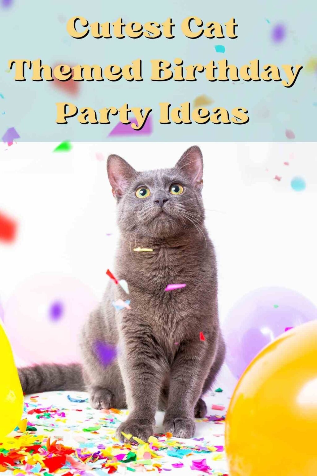 83 Cutest Cat Themed Birthday Party Ideas Fun Party Pop