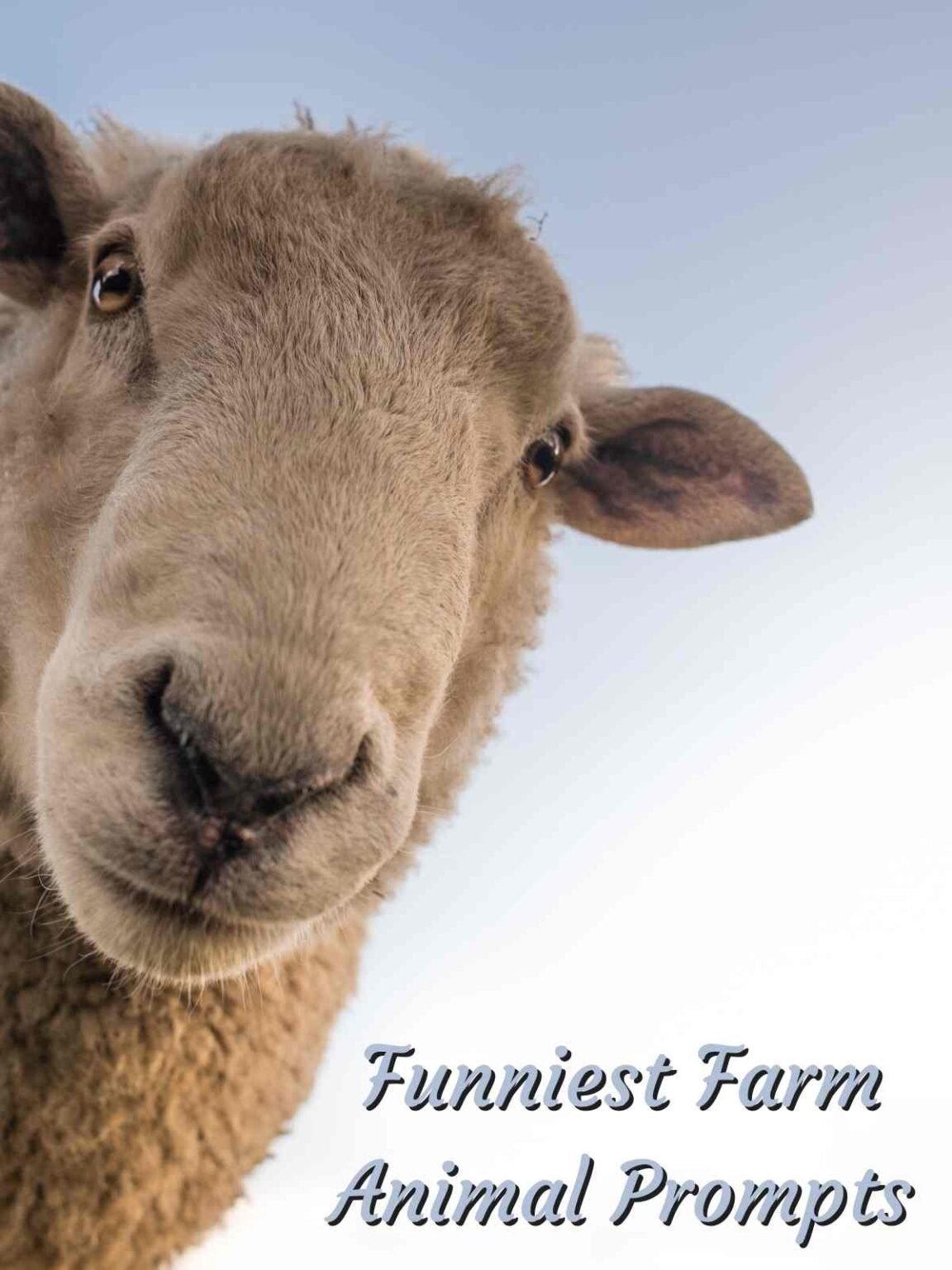 50+ FUNNIEST Animal Charades Topics Fun Party Pop