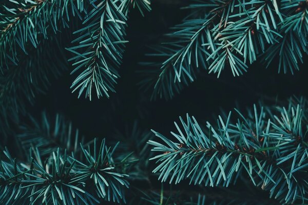 5 Creative Winter Party Games With Step-By-Step Directions